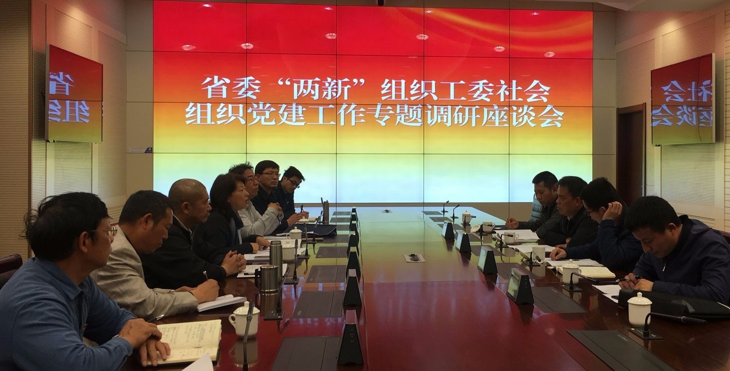 省委“两新”组织工委调研黄色视频
社会组织党委2.jpg